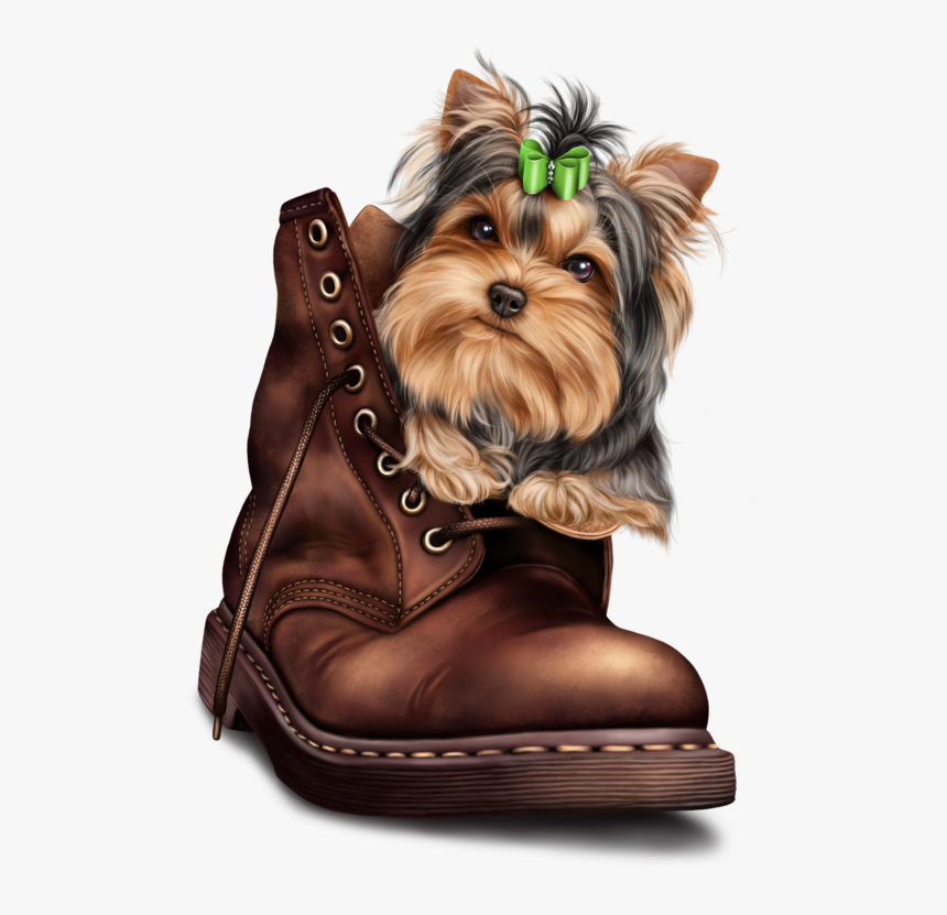 Transparent Yorkie Png - Yorkshire Terrier, Png Download, Free Download