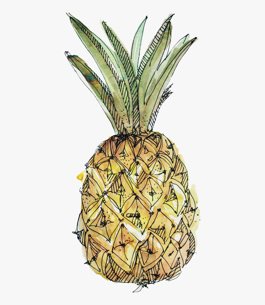 Paper Pineapple Drawing Watercolor Painting Illustration - Pineapple Watercolor With Transparent Background, HD Png Download, Free Download