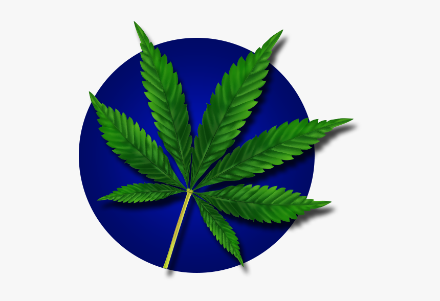 Cannabis, HD Png Download, Free Download