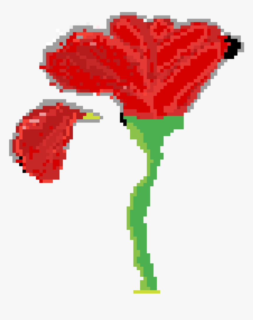 Anthurium, HD Png Download, Free Download