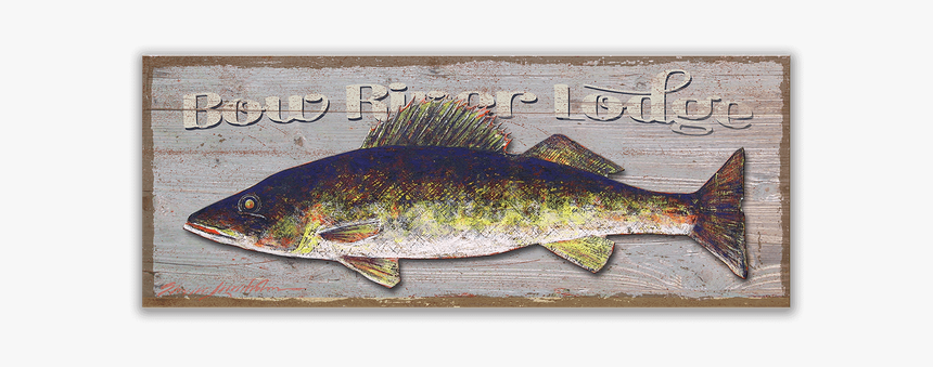 Walleye Fishing Fly Fishing Trout - Trout, HD Png Download, Free Download