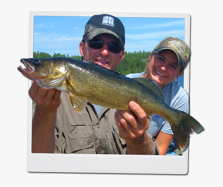 Walleye Ontario, HD Png Download, Free Download