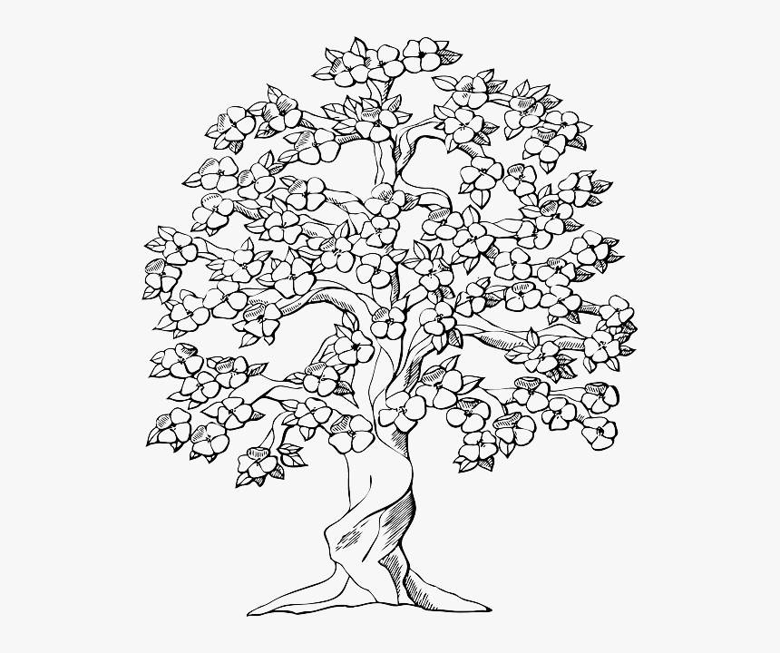 My Gulmohar Tree by Ekta Ohri - Bookedforlife