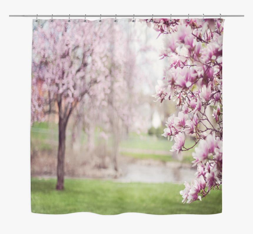 Magnolia Tree Png, Transparent Png, Free Download