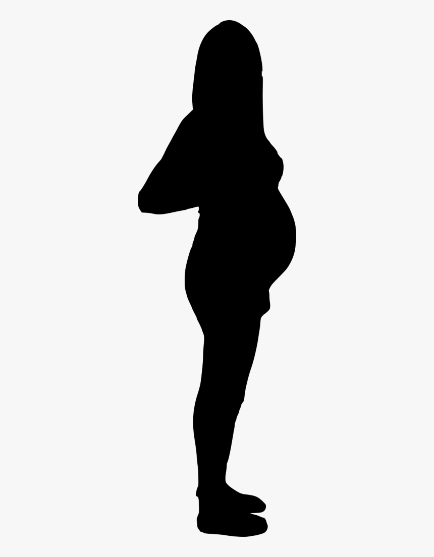 Pregnancy Silhouette Pictures - Silhouette Of A Thick Woman, HD Png Download, Free Download