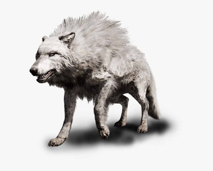 Transparent Far Cry 4 Png - Far Cry Primal Волк, Png Download, Free Download