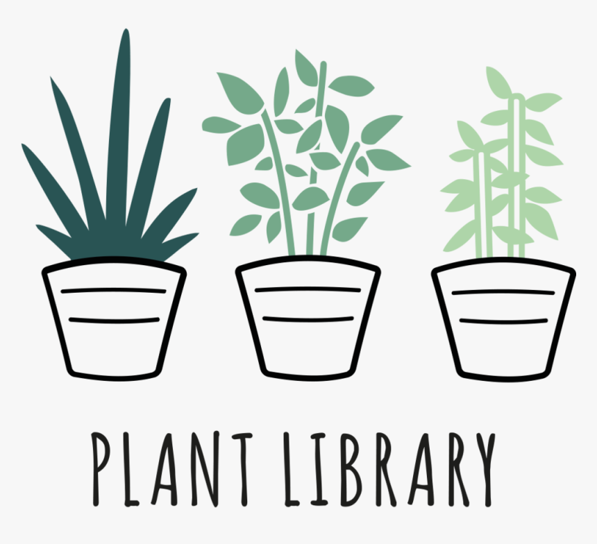 Houseplant, HD Png Download, Free Download