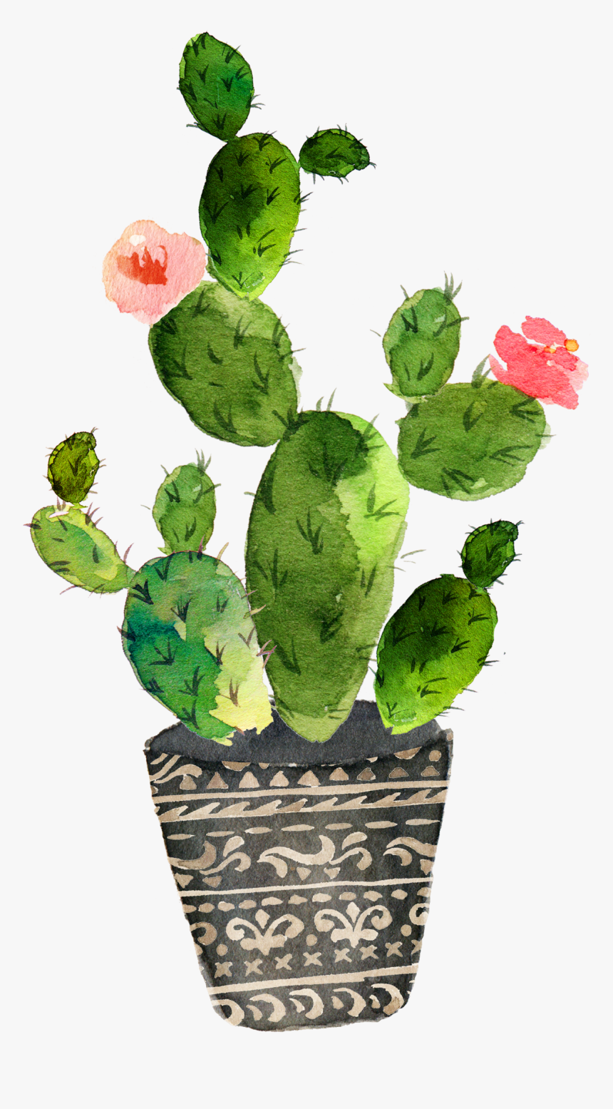 Download Watercolor Cactus Png - Cactus Watercolor Clip Art ...