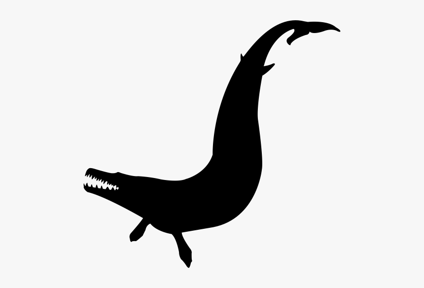 Basilosaurus Rubber Stamp"
 Class="lazyload Lazyload - Illustration, HD Png Download, Free Download