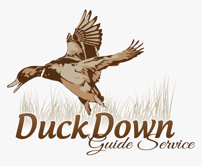 Duck Hunting Logo Design, HD Png Download - kindpng