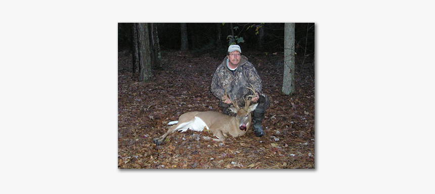 Deer Hunting, HD Png Download, Free Download