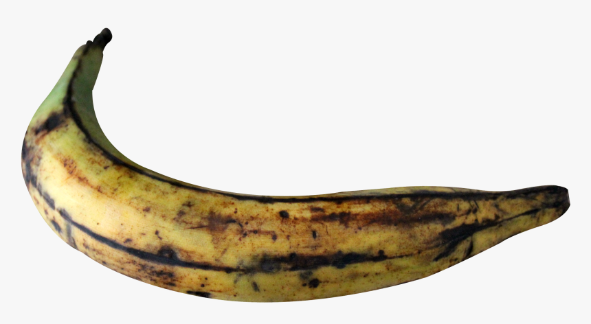 Plantain Png, Transparent Png, Free Download