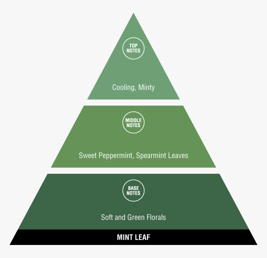 Automation Pyramid Isa 95, HD Png Download, Free Download