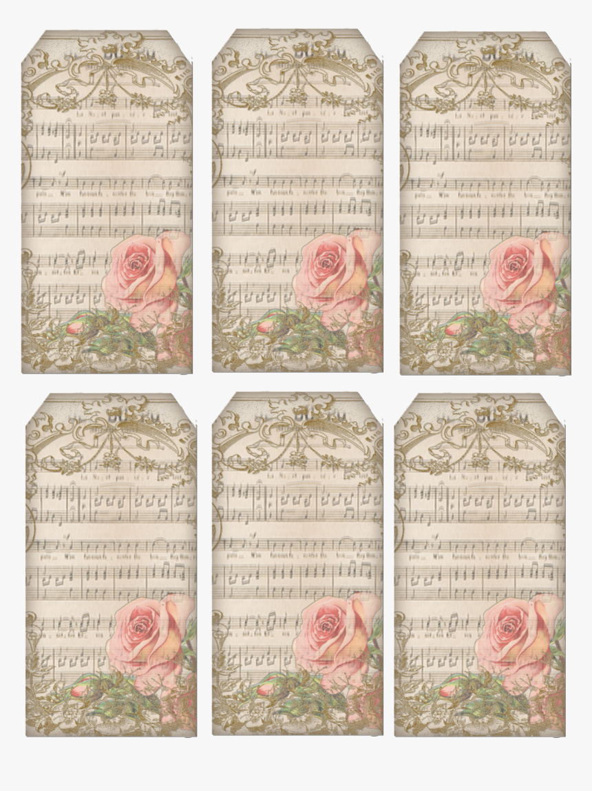 Garden Roses, HD Png Download, Free Download