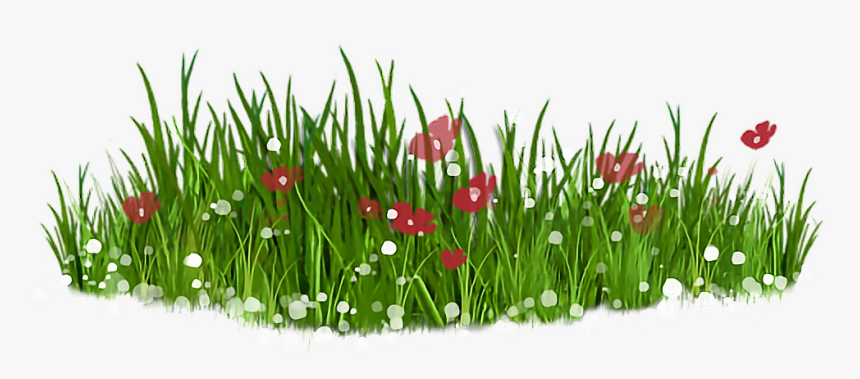 Clip Art Cherry Sparkler Fountain Grass - Grass Clipart Png, Transparent Png, Free Download