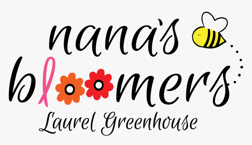 Nana"s Bloomers - Nanas Bloomers, HD Png Download, Free Download