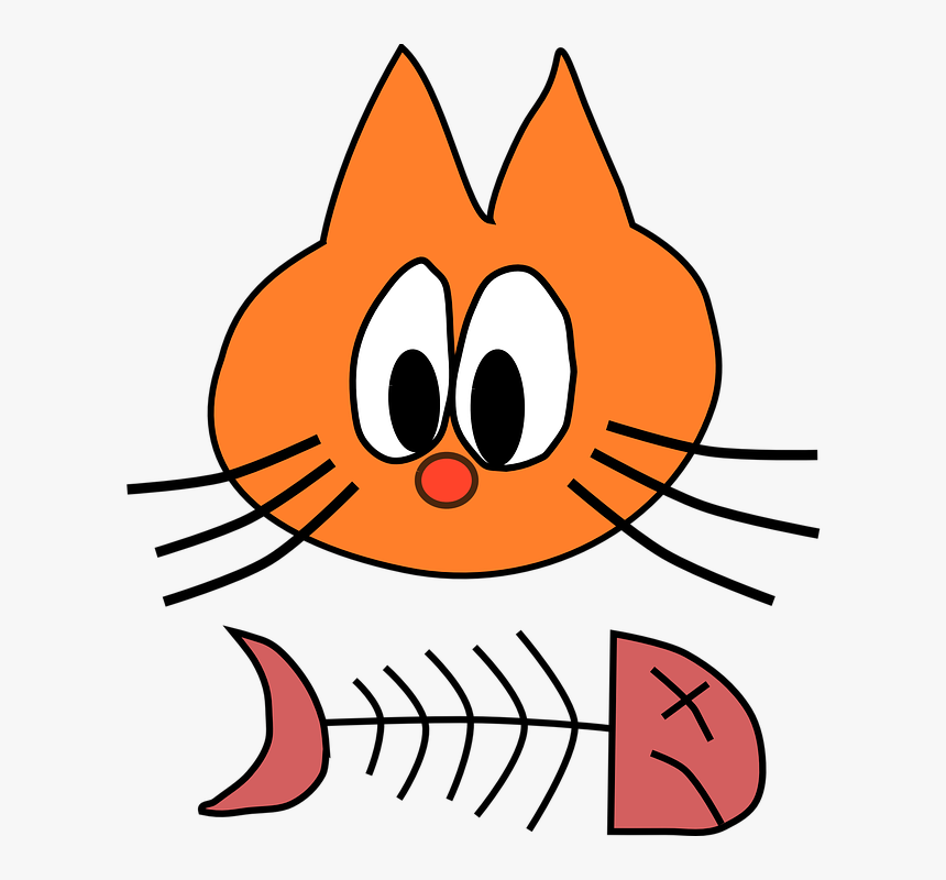 Cat, Eat, Fish, Animal, Orange, Dead, Skeleton, Face - Cat And Fish Bone, HD Png Download, Free Download