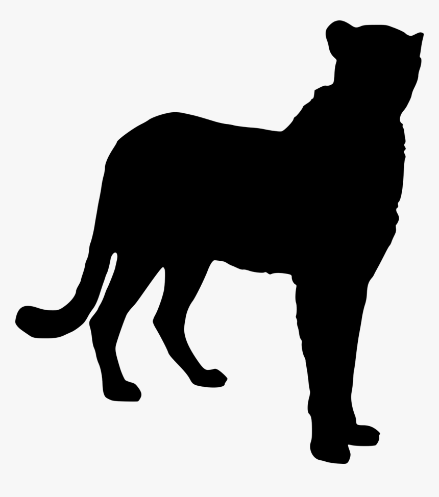 Tiger, Predator, Cat, Big Cat, Felidae, Siberian - Svg Hund, HD Png Download, Free Download