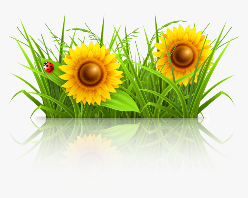 Transparent Grass Cartoon Png - Grass Clipart, Png Download, Free Download