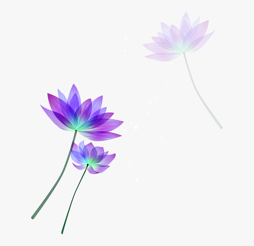 Lotus Vector Free Download Clipart , Png Download - Lotus Vector Free Download, Transparent Png, Free Download