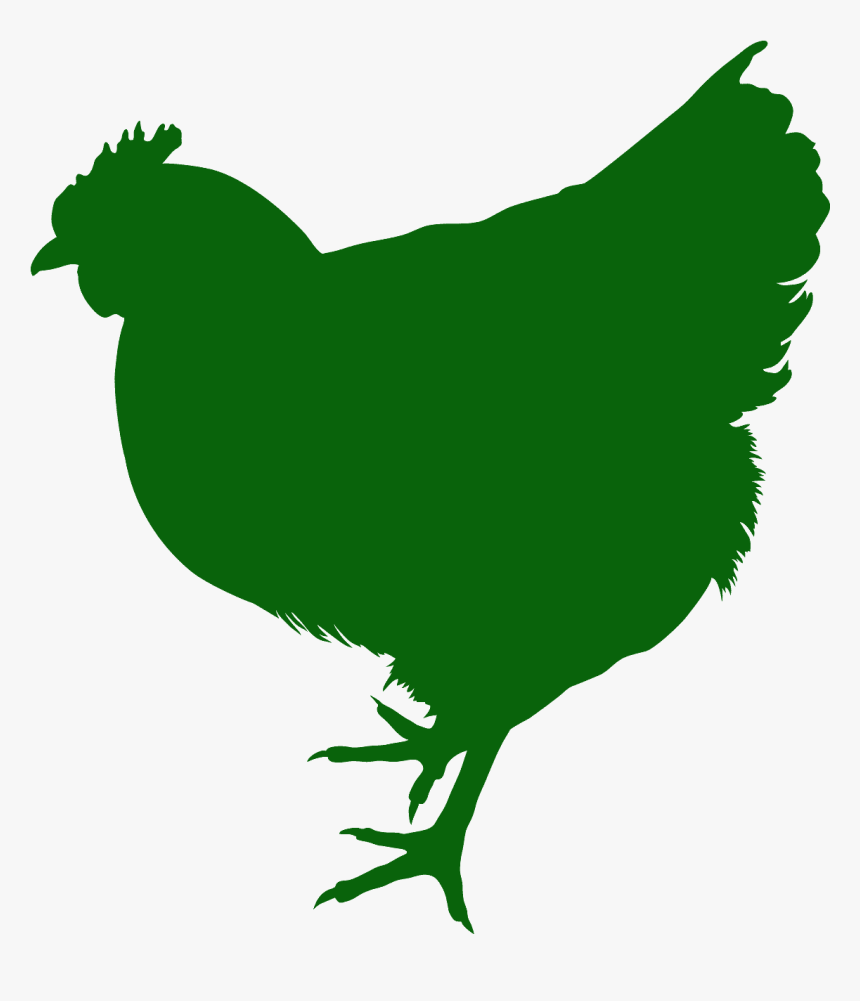 Chicken Decal, HD Png Download, Free Download