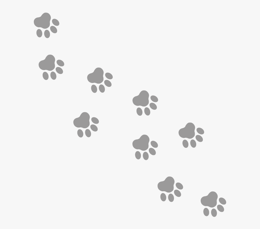 Patte D Ours, HD Png Download, Free Download