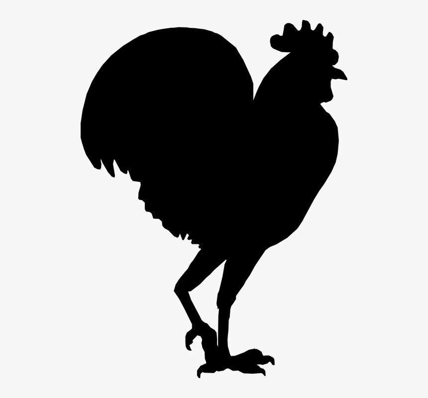 Rooster, Cock, Hammer, Farm, Chicken, Turkey, Label - Galo Vetor Png, Transparent Png, Free Download