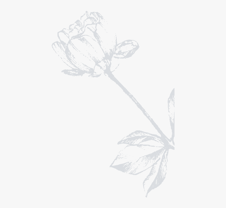 Sketch, HD Png Download, Free Download