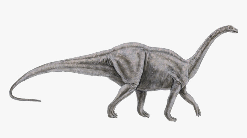 #dinosaur #brontosaurus I Think - Brontosaurus Png, Transparent Png, Free Download