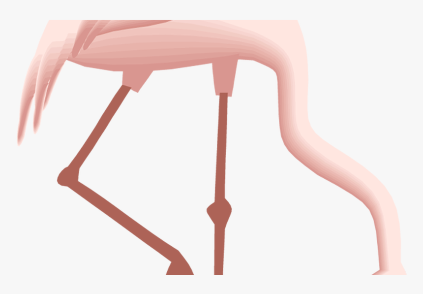 Free Flamingo Clipart - Clipart Flamingo Gif, HD Png Download, Free Download