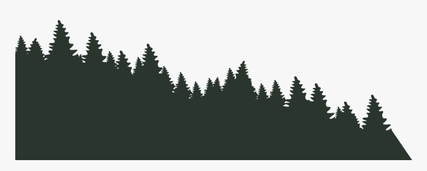 Shortleaf Black Spruce, HD Png Download, Free Download