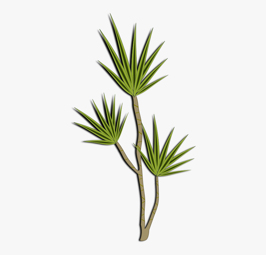 Plant-02 - Transparent Background Tall Plant Clipart, HD Png Download, Free Download