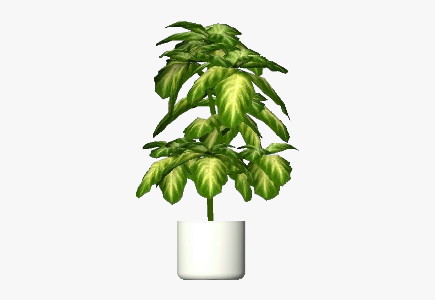 Plantas 3d - Aglaonema Crispum - Acca Software - Png Transparent Interior Plants, Png Download, Free Download