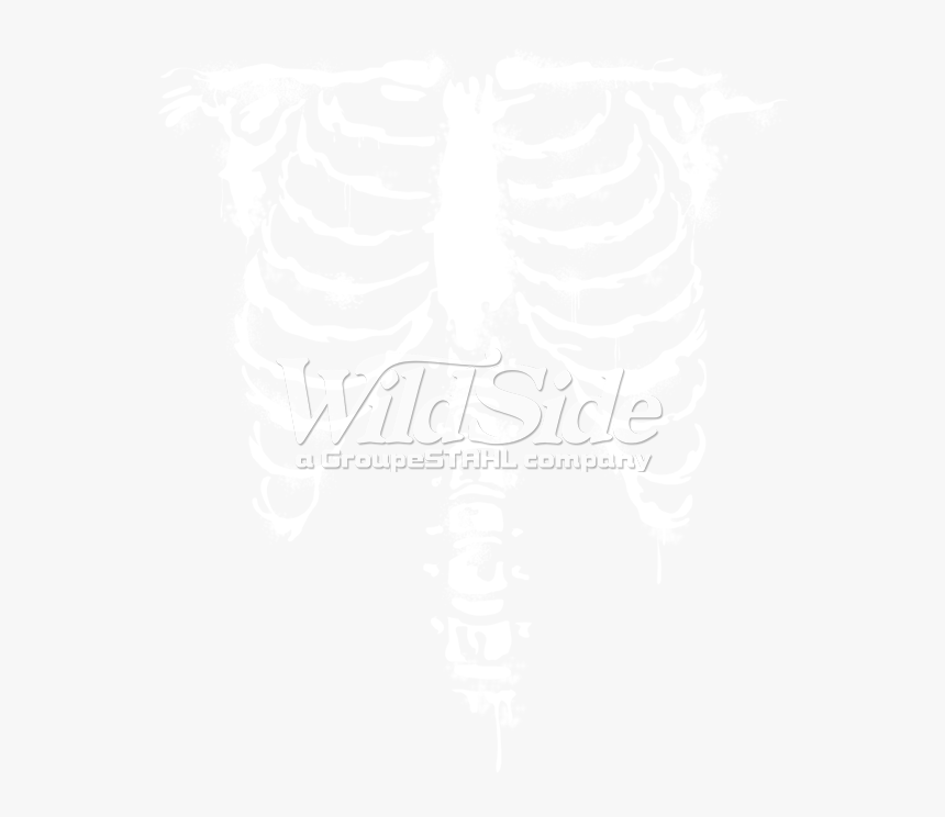 Ribcage Front White Ink - Ribcage X Ray Png, Transparent Png, Free Download