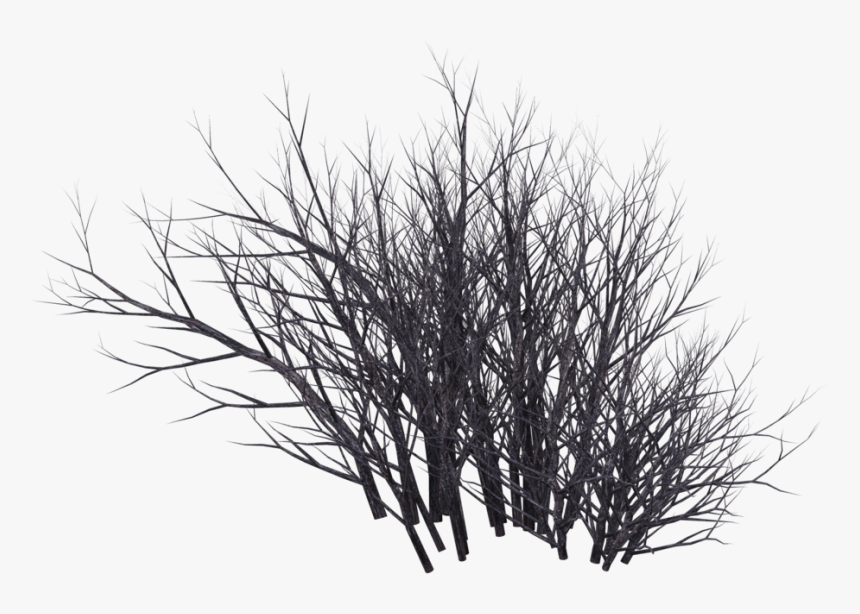 Desert Shrub Png Clip Free - Shrubs Png Black, Transparent Png, Free Download