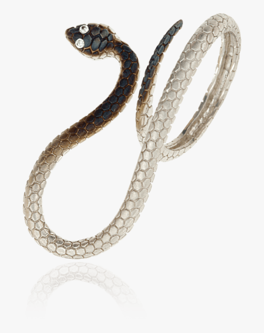 Serpent, HD Png Download, Free Download