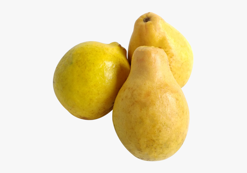 Yellow Guava Png, Transparent Png, Free Download