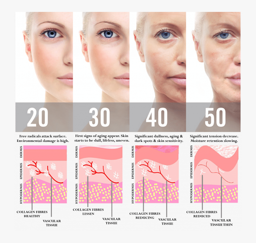 Skin Aging, HD Png Download - kindpng