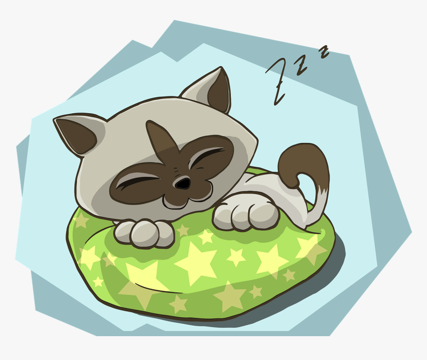 Zzz Cat, HD Png Download, Free Download