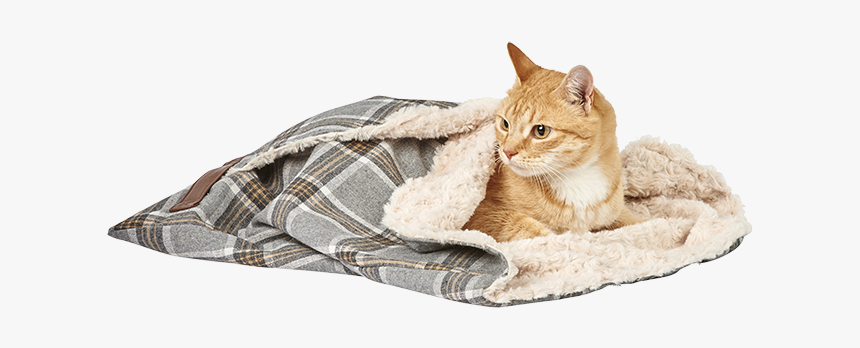 Cat Blanket, HD Png Download, Free Download