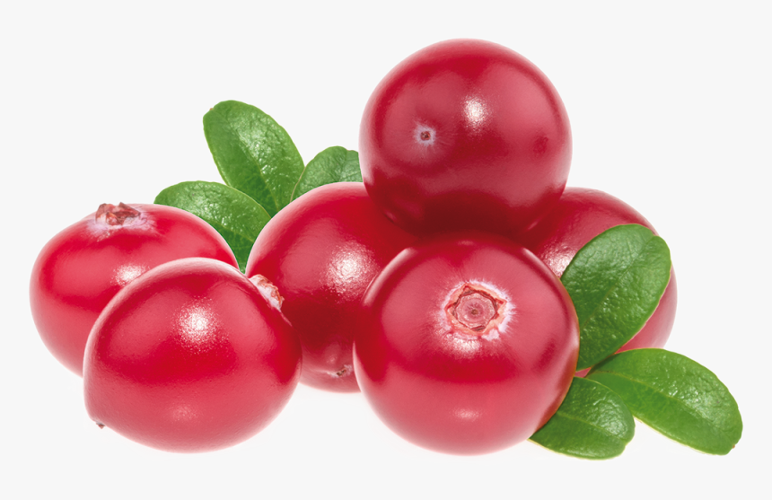 Lingonberry, HD Png Download, Free Download