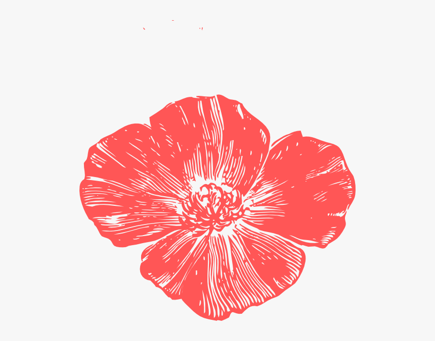 Download Peach Poppies Svg Clip Arts Poppy Flower Clipart Hd Png Download Kindpng