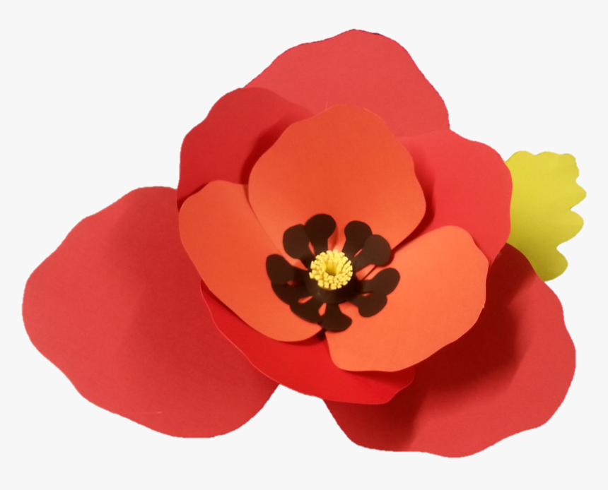 Poppy - Corn Poppy, HD Png Download, Free Download