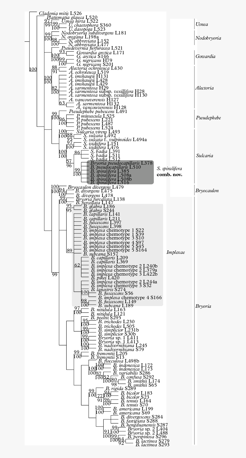 Diagram, HD Png Download, Free Download