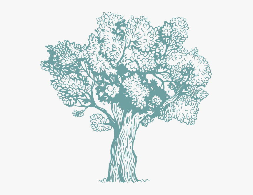 Η Ελιά Στην Κρήτη - Post Oak, HD Png Download, Free Download