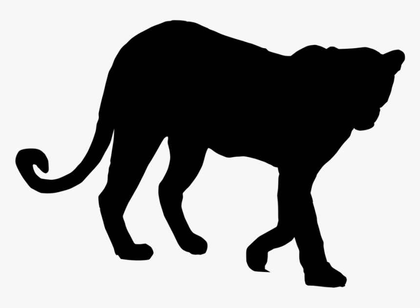 Tiger Lion Vector Graphics Royalty-free Illustration - Tiger Vector Black And White, HD Png Download, Free Download