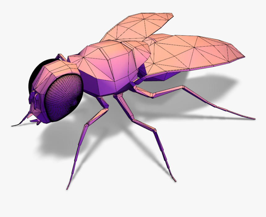 February 1 Clipart , Png Download - Mosquito, Transparent Png, Free Download