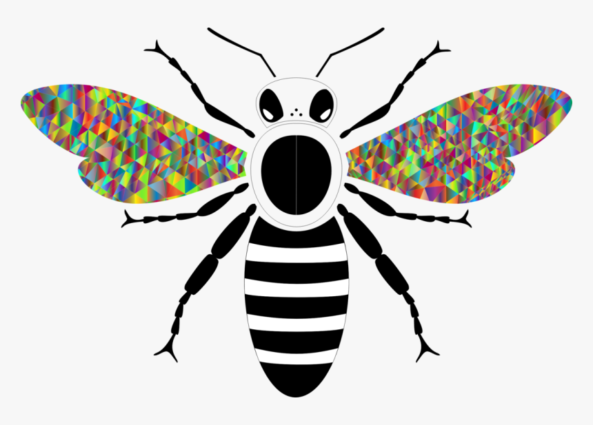 Fly,symmetry,organism, HD Png Download, Free Download