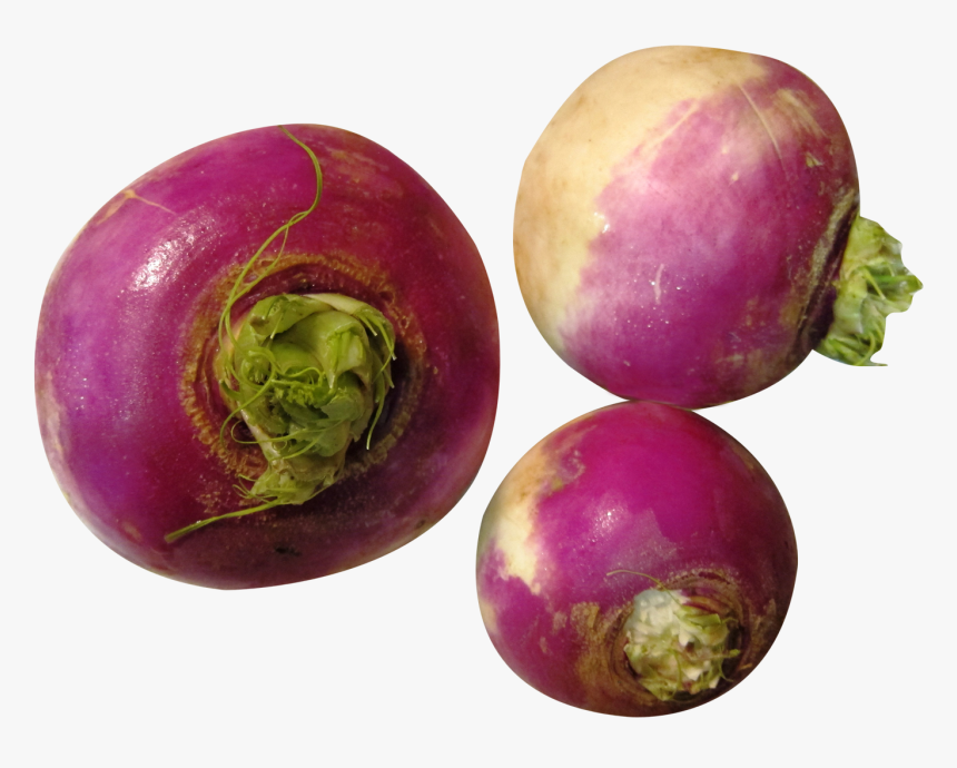 Turnip Png Image - Turnip Png, Transparent Png, Free Download