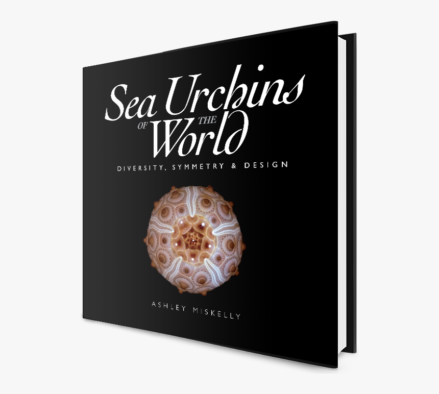 Sea Urchins Of The World Book - Poster, HD Png Download, Free Download